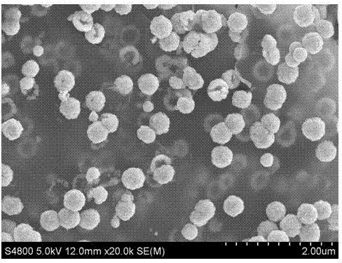 Ferroferric oxide/reduced graphene oxide composite wave-absorbing material with hollow hemisphere structure and preparation method