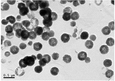 Ferroferric oxide/reduced graphene oxide composite wave-absorbing material with hollow hemisphere structure and preparation method