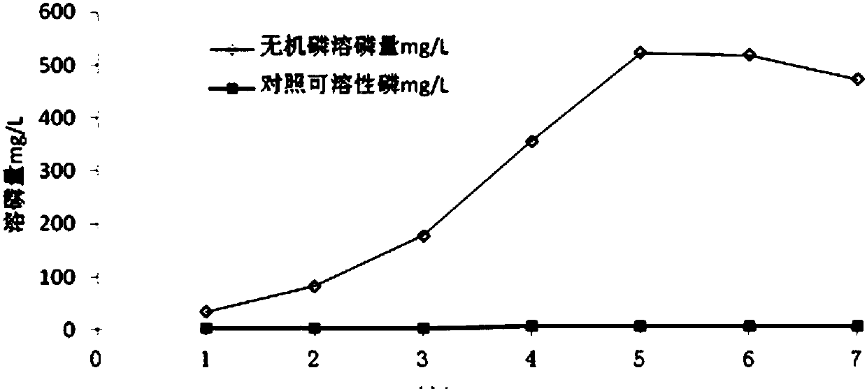 A Strain of Aspergillus tubingensis ct1 and Its Application in Solubilizing Phosphorus in Saline-alkali Land