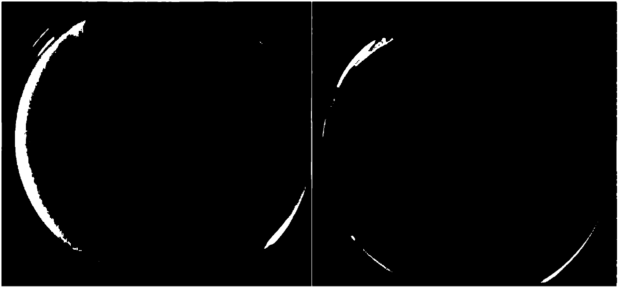 A Strain of Aspergillus tubingensis ct1 and Its Application in Solubilizing Phosphorus in Saline-alkali Land