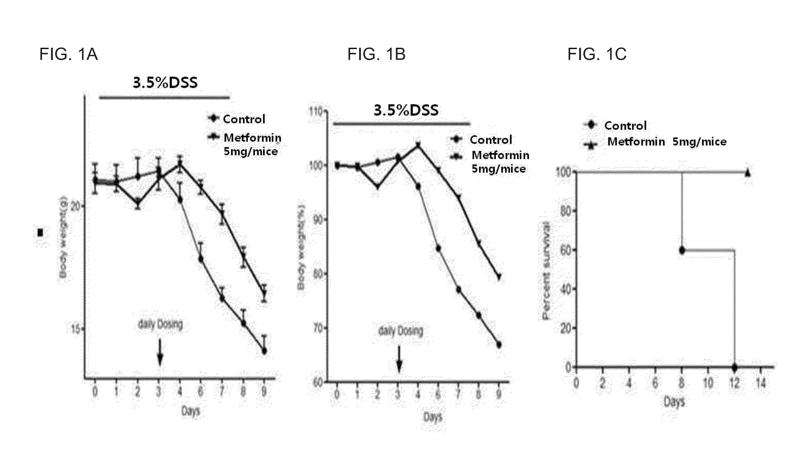 Composition comprising metformin as active ingredient for preventing or treating inflammatory bowel disease