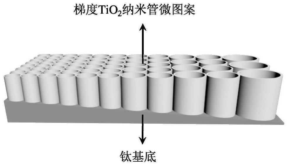 Method for optimizing gradient titanium dioxide nanotube micro-patterns under assistance of machine learning