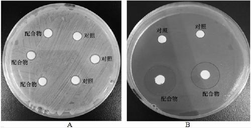 Rare earth metal organic framework material with antibacterial activity and preparation method thereof