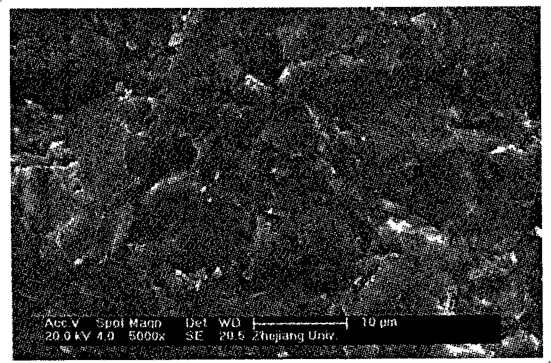 Reaction sintering silicon carbide ceramic and production method thereof