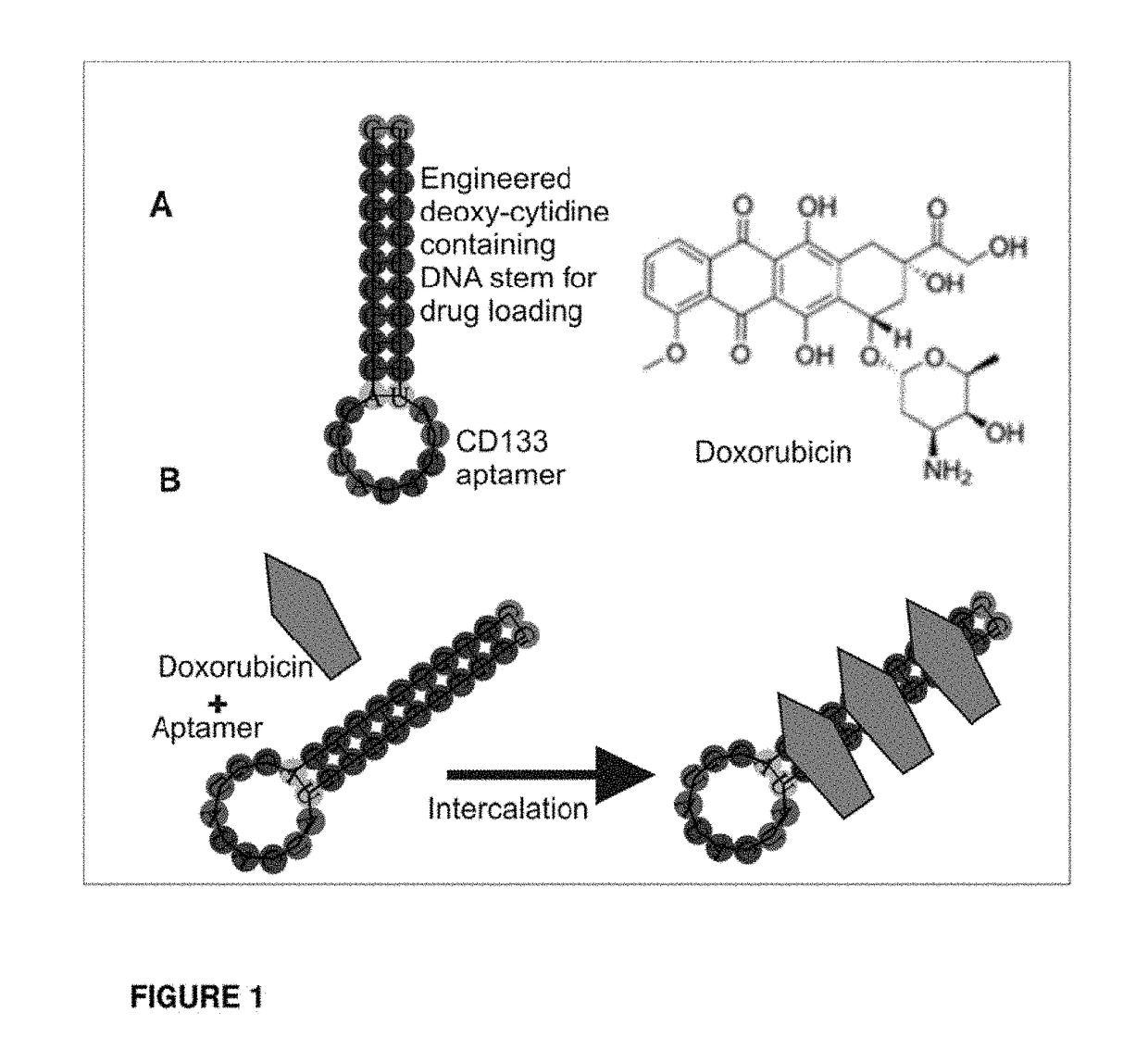 Aptamer construct