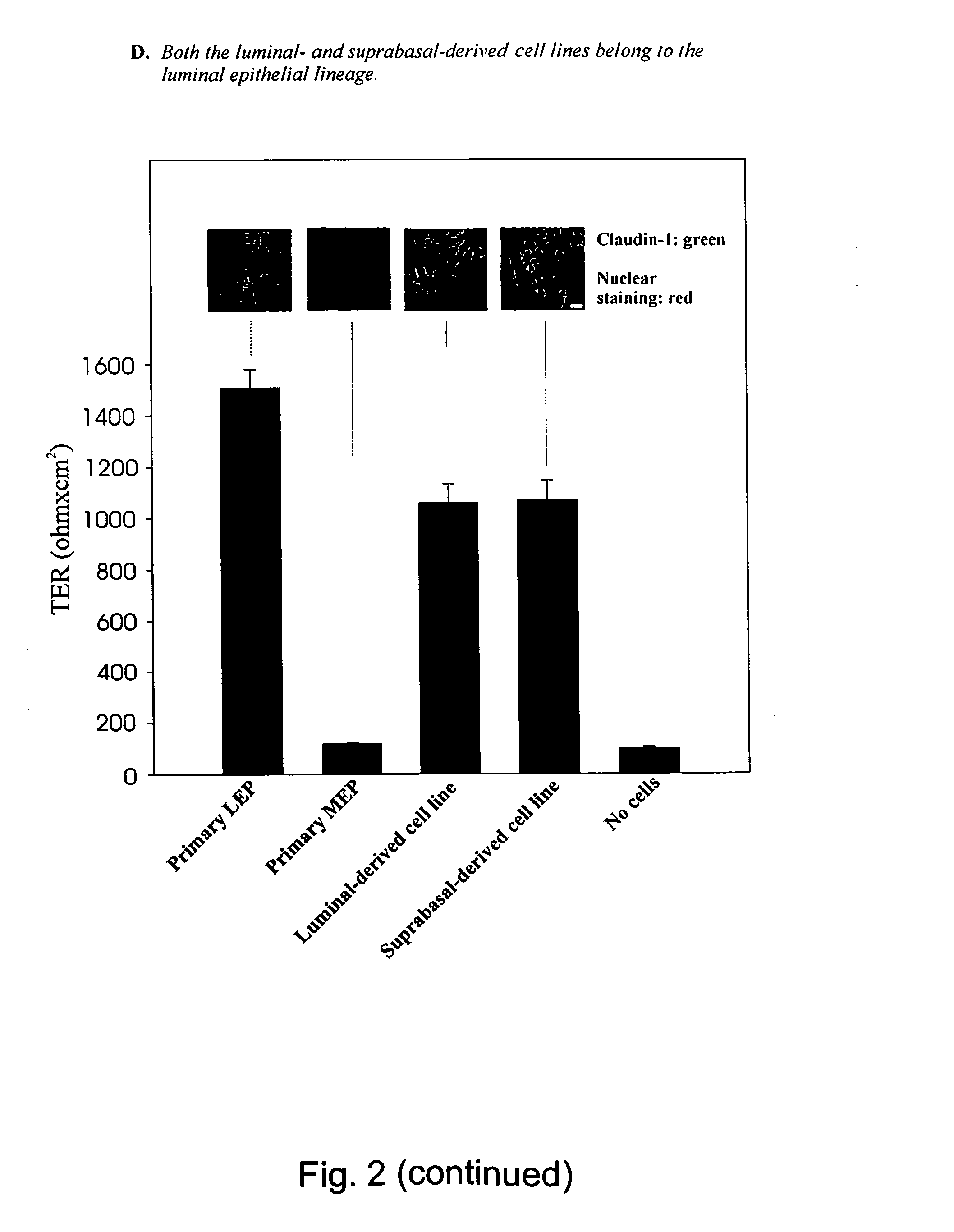 Suprabasal breast cell with stem cell properties