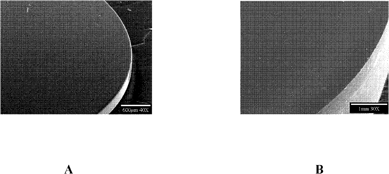 Artificial lens implantation flexible hydrosol auxiliary agent and preparation method thereof