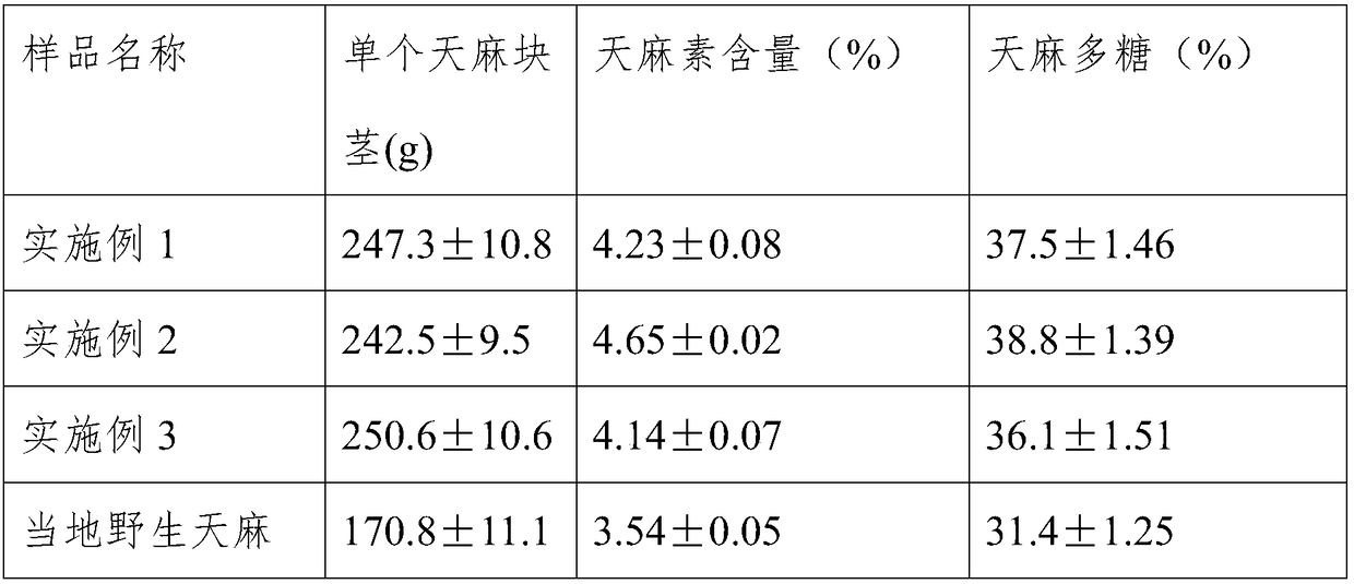 Wild imitating cultivation method for planting gastrodia elata