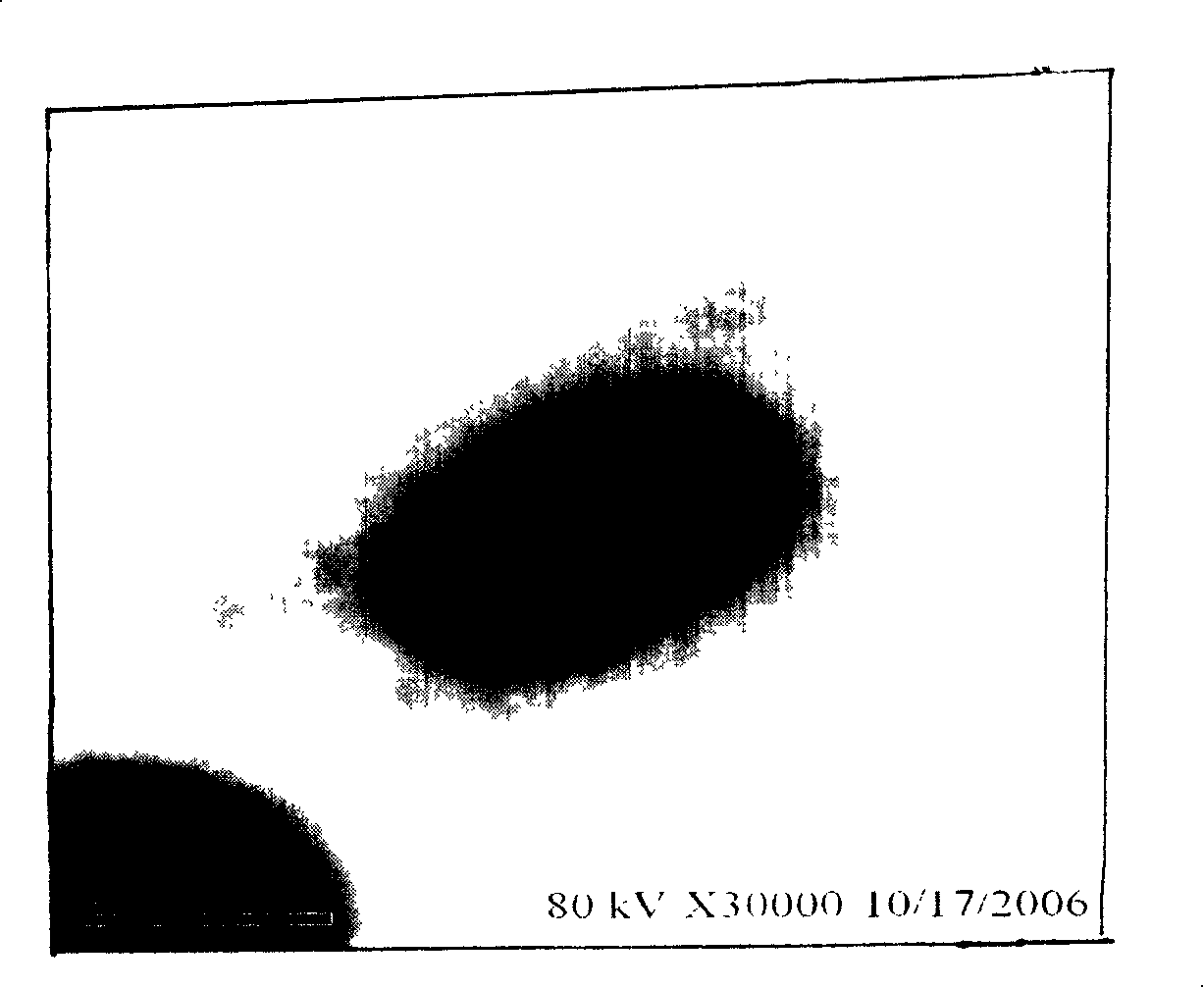 Novel acid-producing Klebsiella bacterium LF-1 and uses thereof