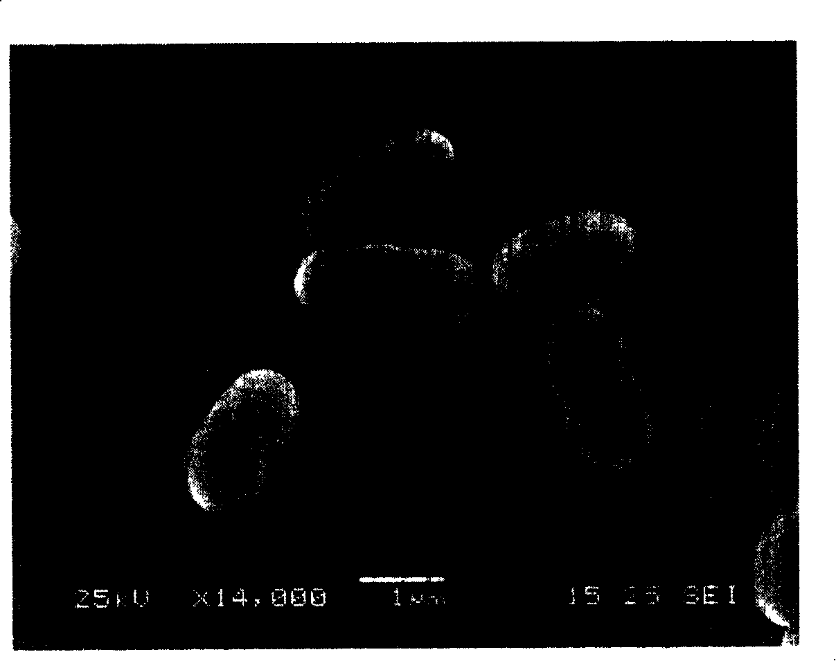 Novel acid-producing Klebsiella bacterium LF-1 and uses thereof