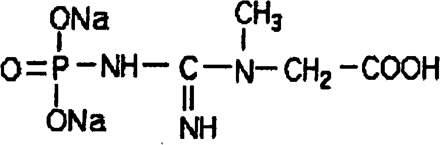 Preparation technique of sodium phosphocreatine powder and injection preparation