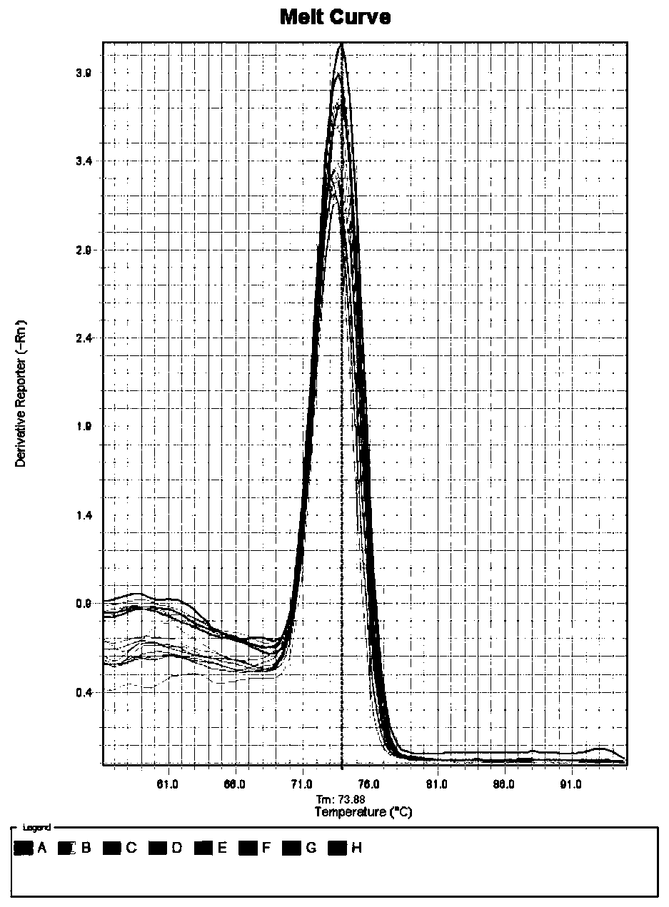 Rapid detection method for imidacloprid water body pollution by fluorescent quantitative PCR