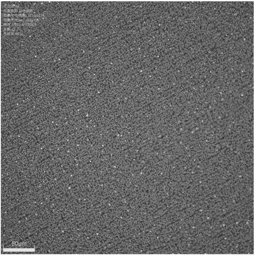 PERC cell back surface passive film layer and PERC cell preparation method based on ALD process