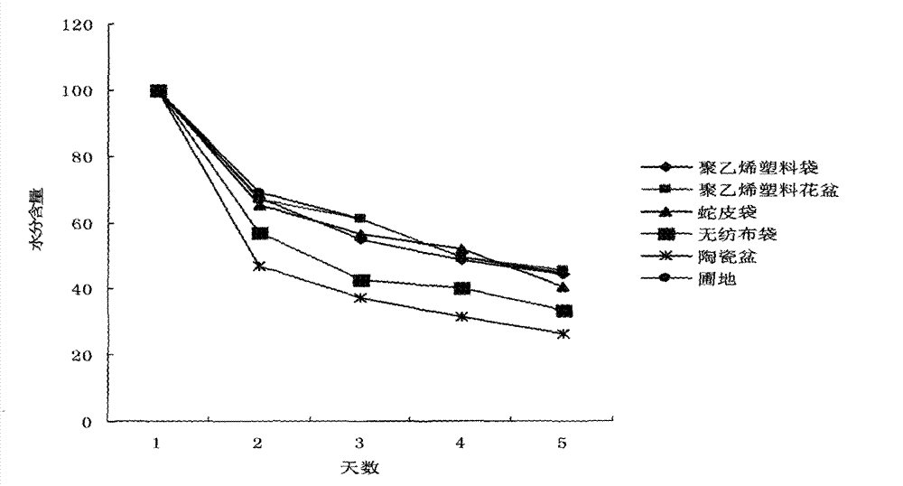 Rapid container seedling culturing method for peach