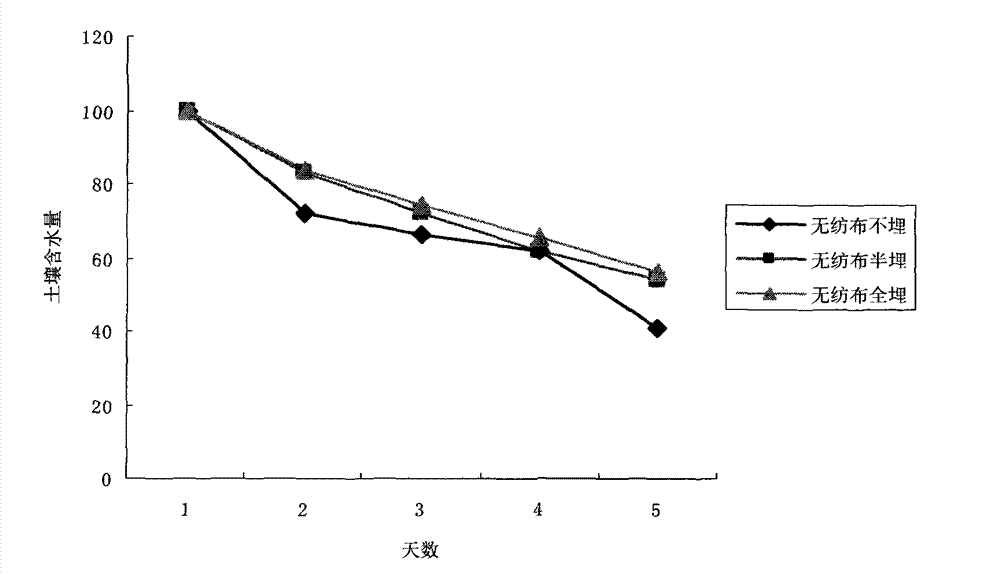 Rapid container seedling culturing method for peach