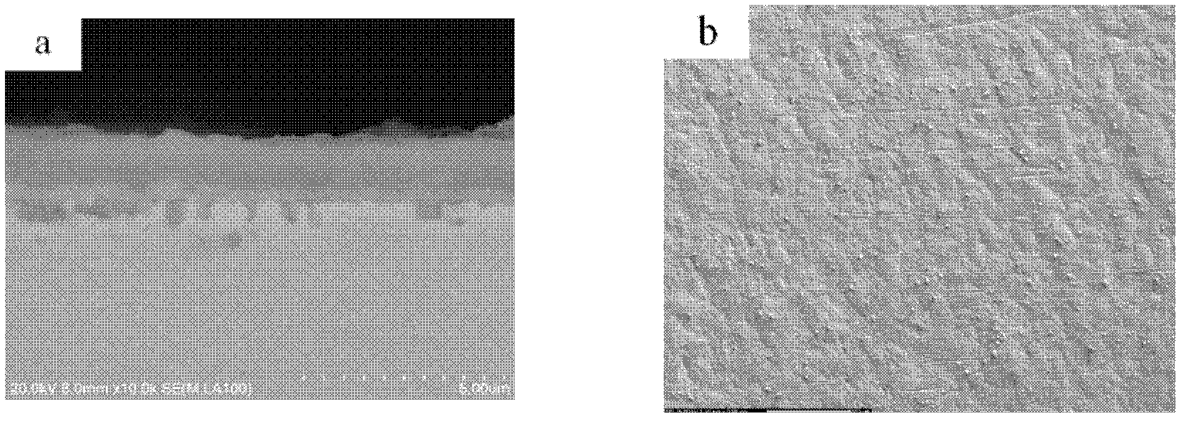 Steel-based hydrogen permeation-resistant composite coating and preparation method for same