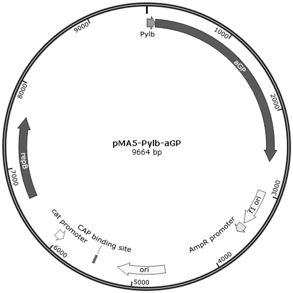 Bacillus subtilis genetically-engineered bacteria for producing tagatose and method for preparing tagatose