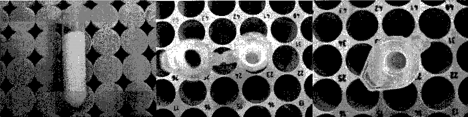 Protein collection and enzymolysis integrated sample pretreatment apparatus and its production