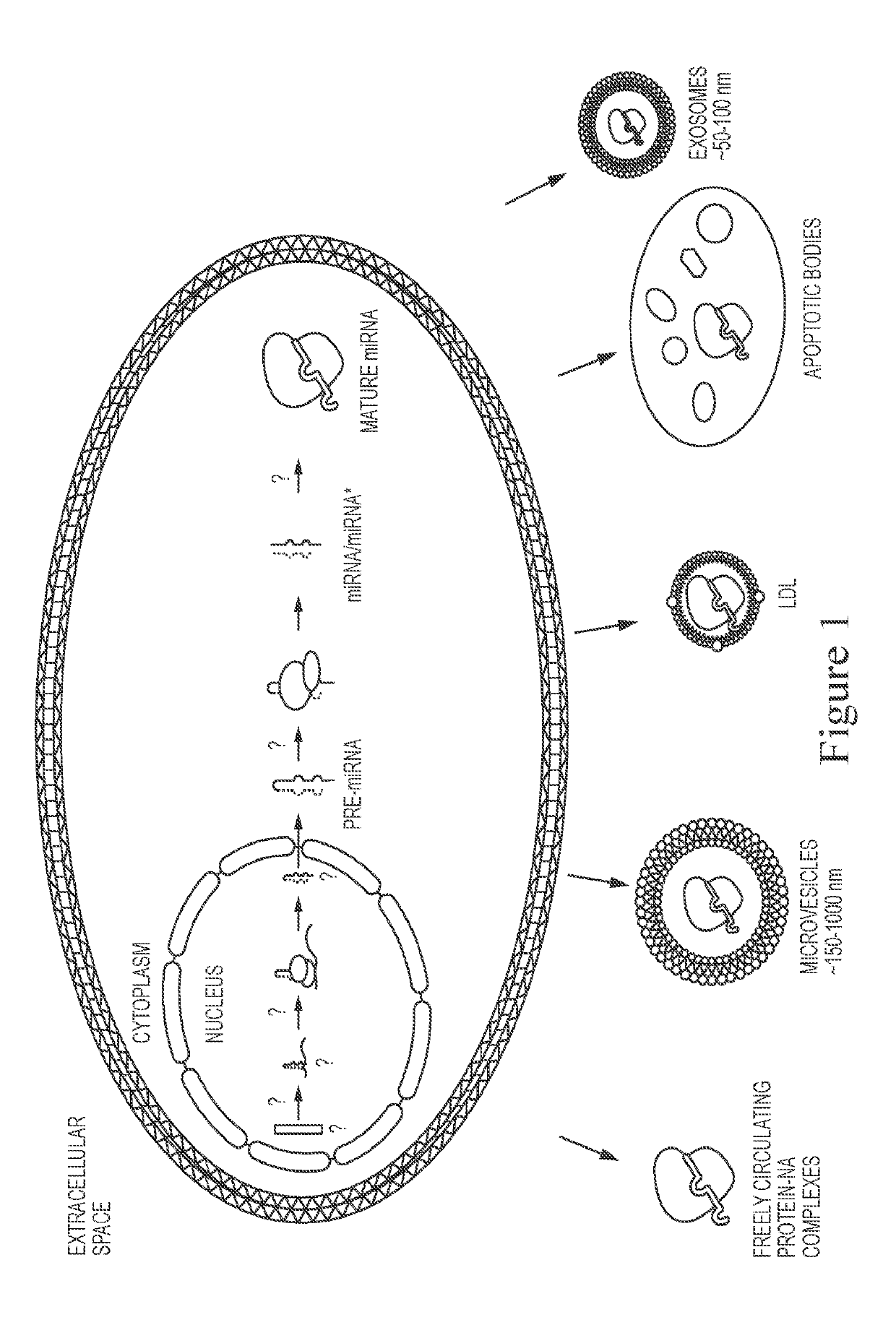 Reduction of bioparticle levels of an organism