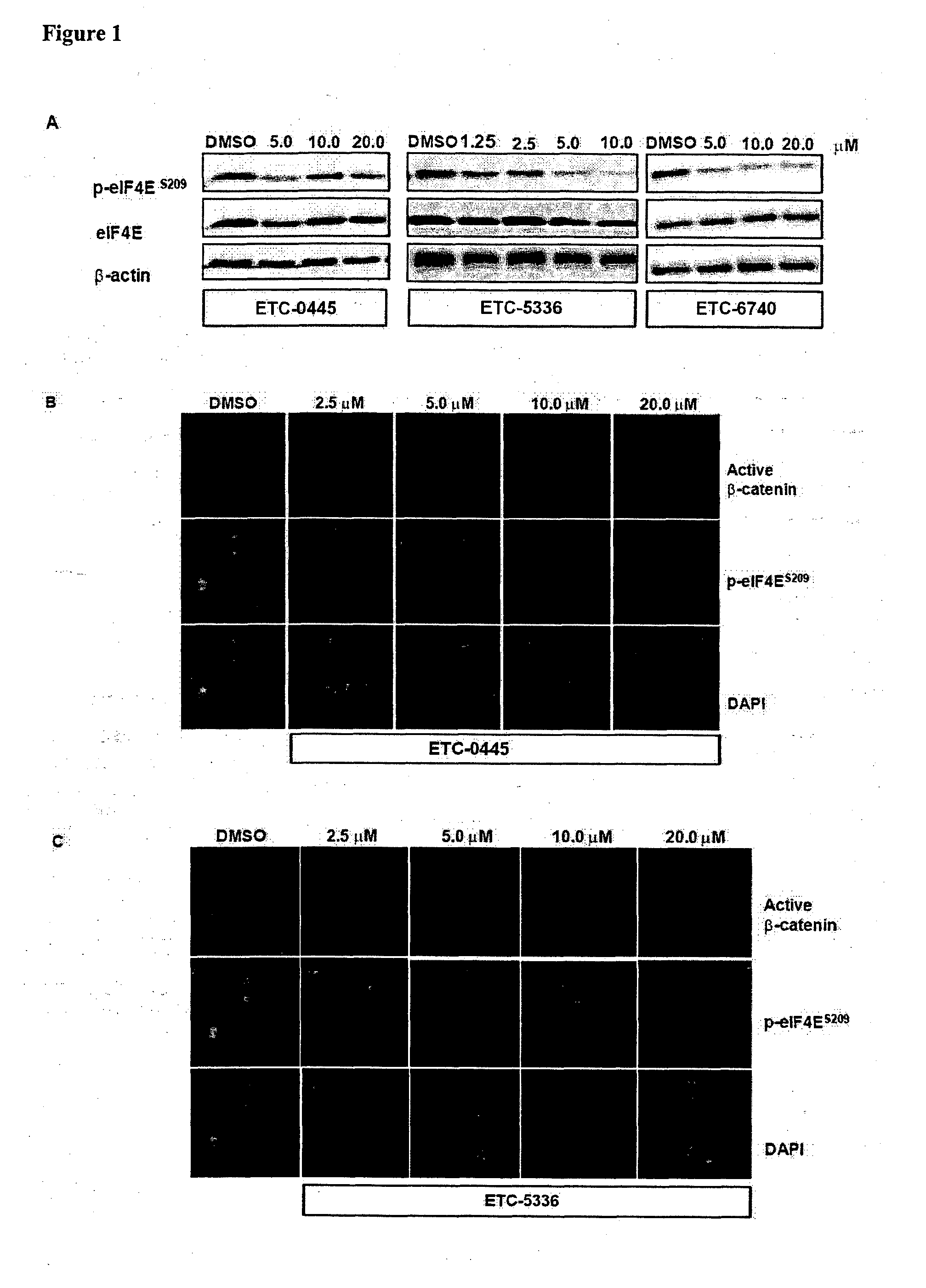 Bicyclic heterocyclic derivatives as mnk1 and mnk2 modulators and uses thereof