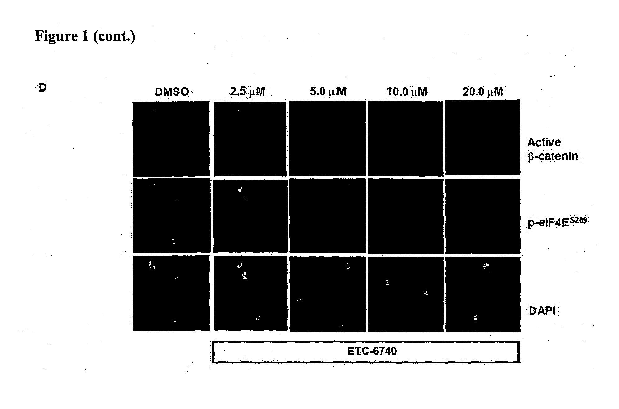 Bicyclic heterocyclic derivatives as mnk1 and mnk2 modulators and uses thereof