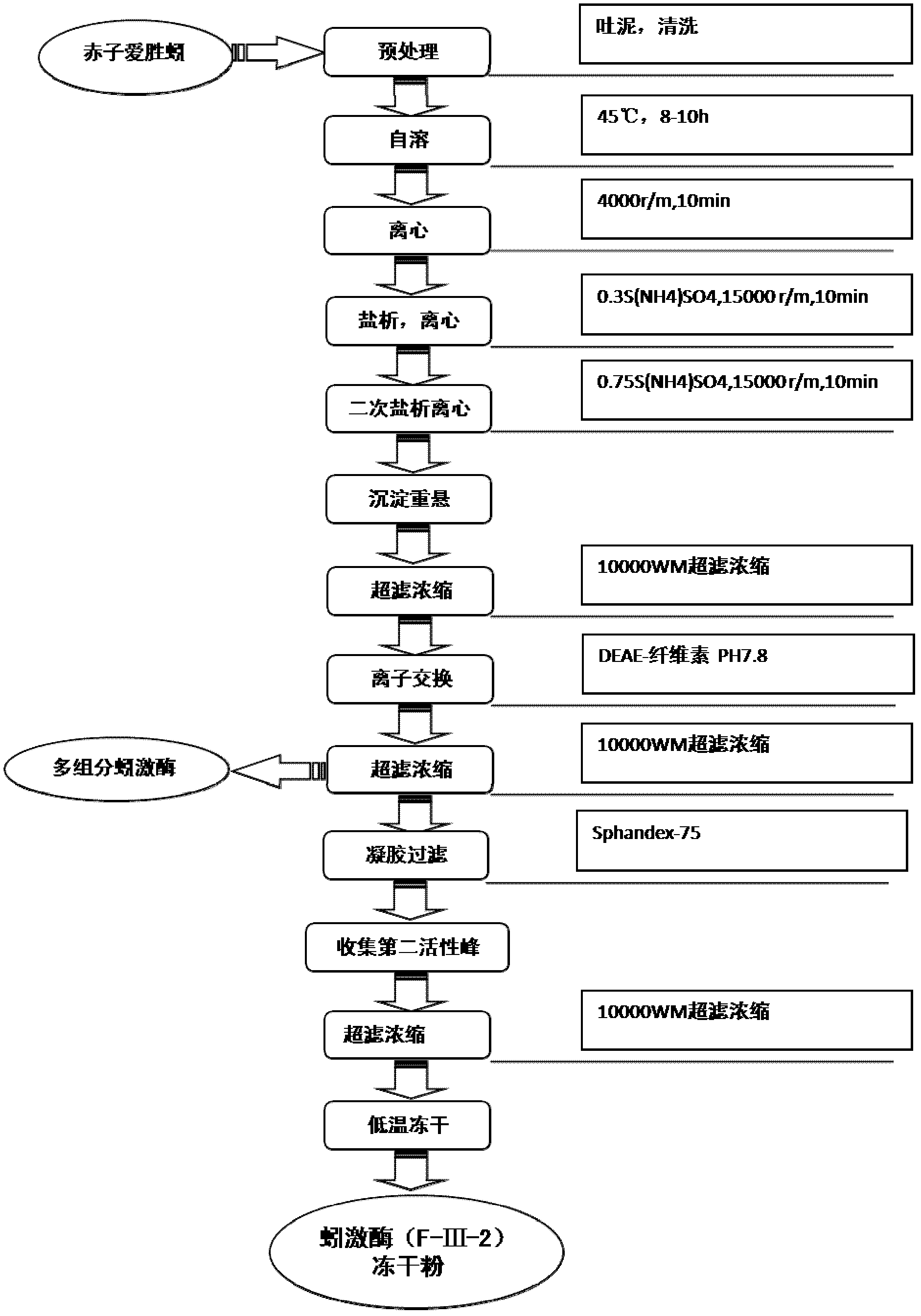 Low-immunogenicity lumbrukinase, preparation method and application thereof