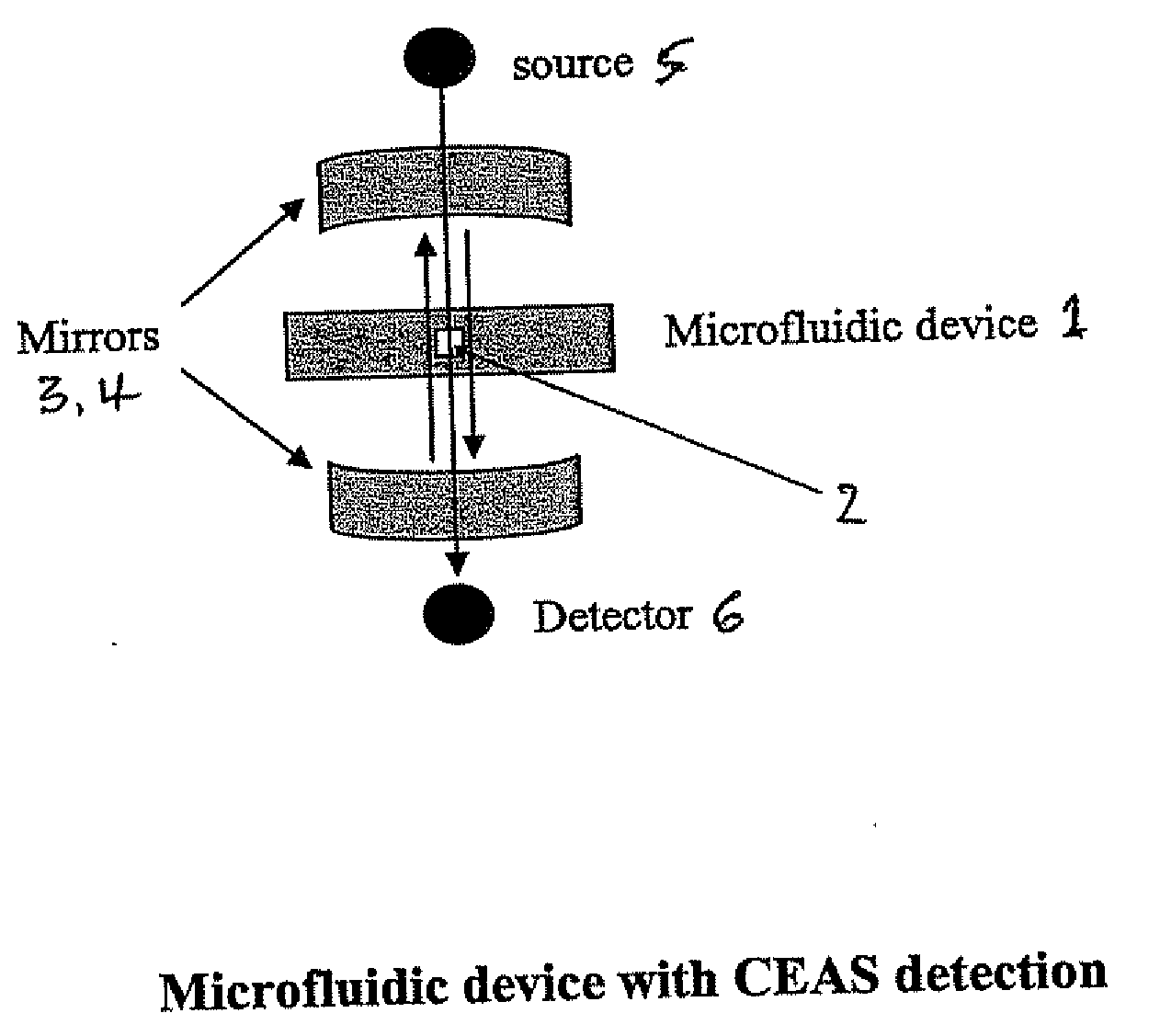 Detection method