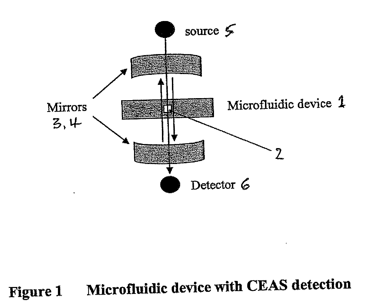 Detection method