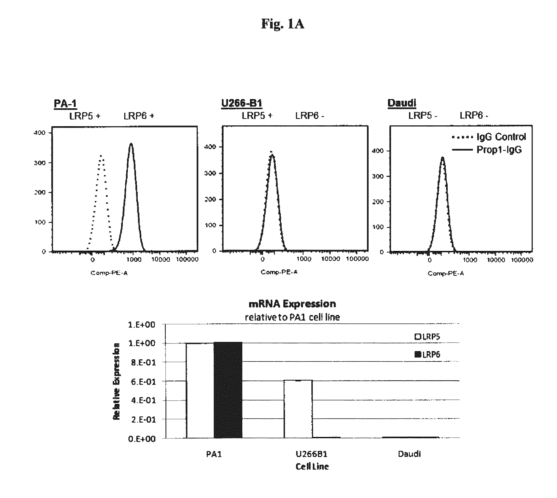 Compositions and methods of use for therapeutic low density lipoprotein - related protein 6 (LRP6) multivalent antibodies