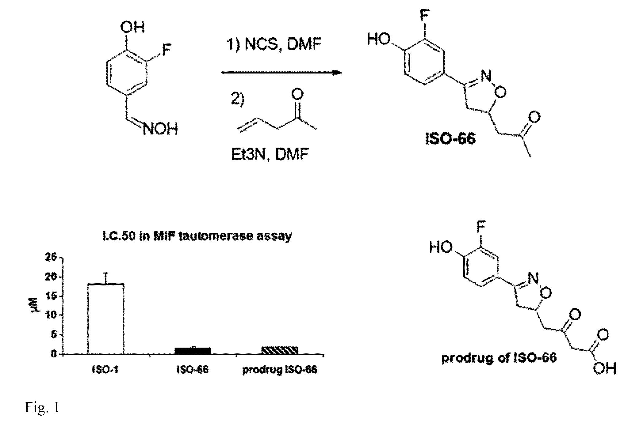 Inhibition of macrophage migration inhibitory factor in melanoma and colon cancer