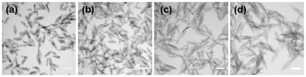 Preparation method of rice-grain-shaped hydroxyl alumina nano adjuvant with good suspension stability