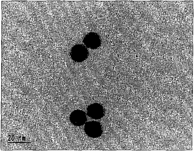 Method for improving detection sensitivity of cocaine