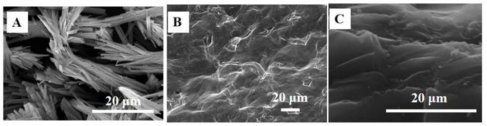 Electrochemical sensor for rapidly and efficiently detecting lead ions