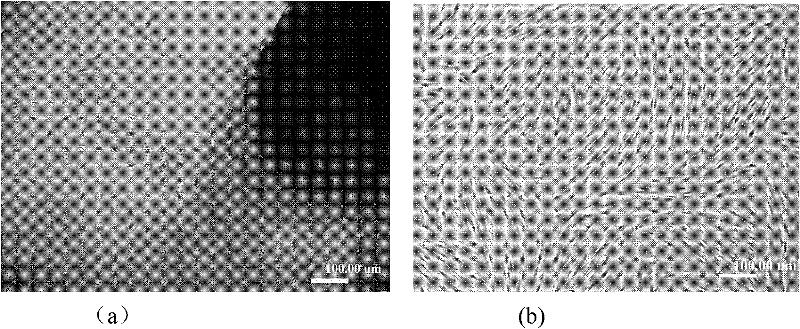 Method for inducing human umbilical cord mesenchymal stem cells into testicular interstitial cells and application thereof