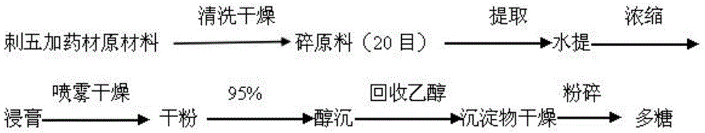 Novel application of acanthopanax polysaccharide