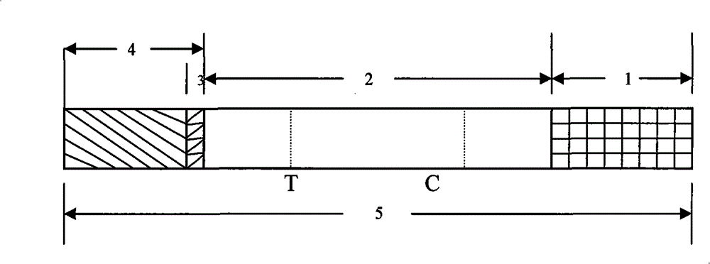 Test paper strip for detecting encephalitis virus specificity IgG antibody, method for making same and applications