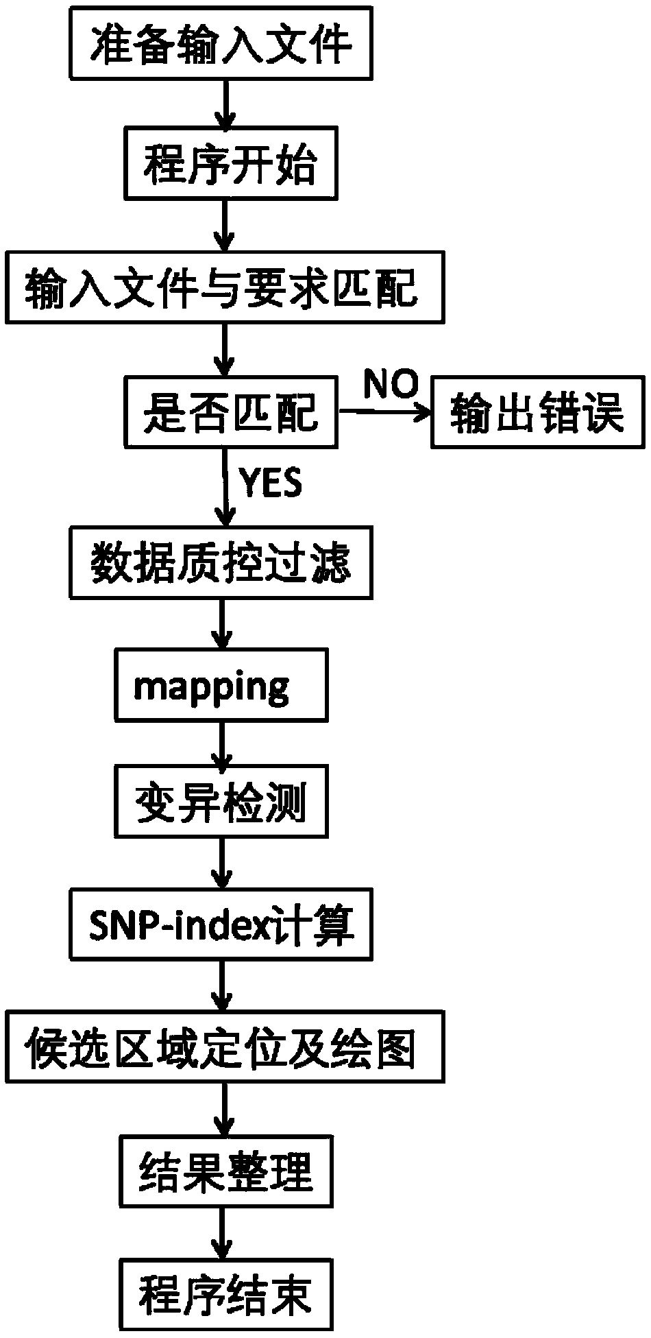 Automated analysis method based on BSA gene positioning