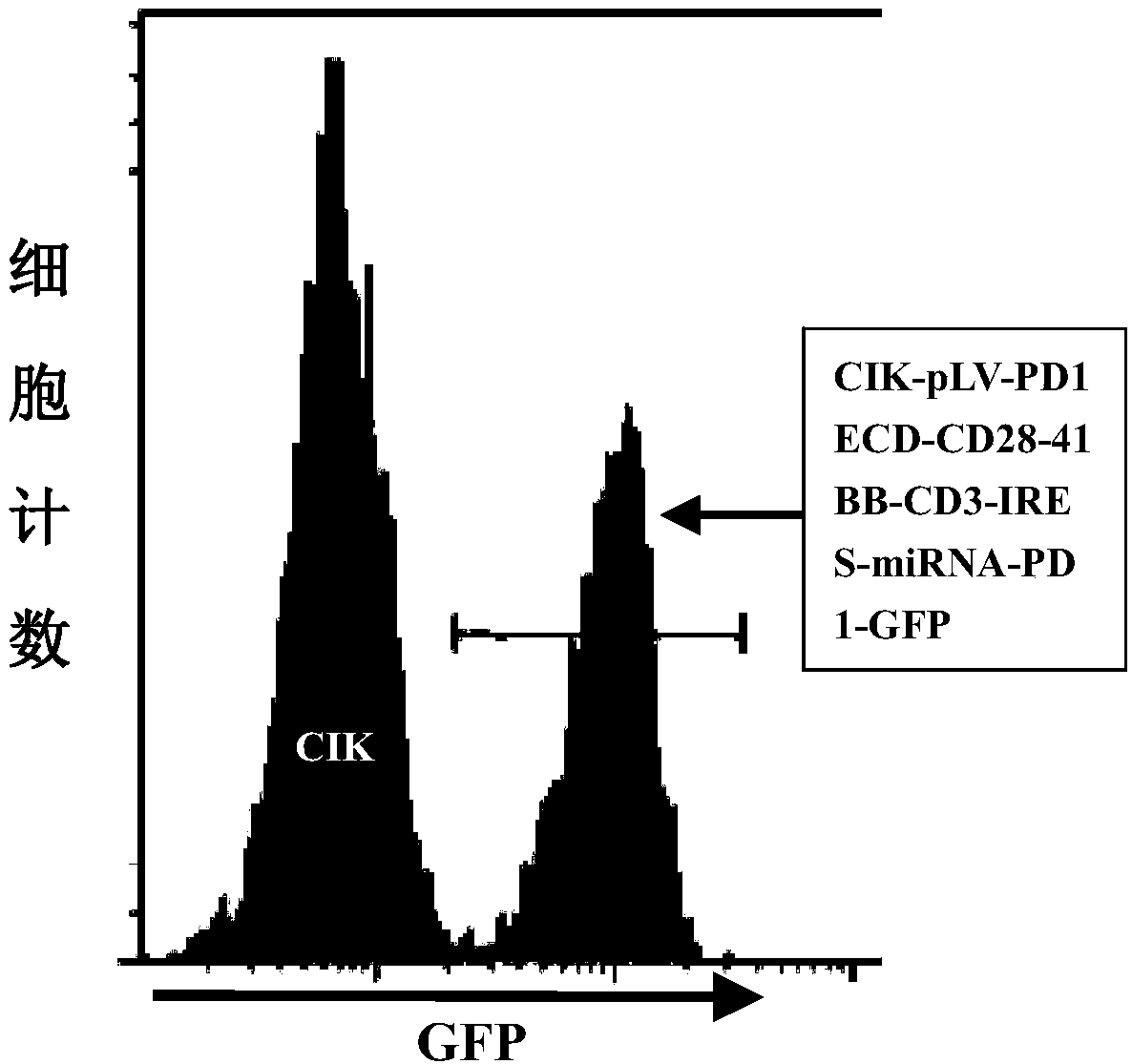 CIK modified by similar chimeric antigen receptor, as well as preparation method and application thereof