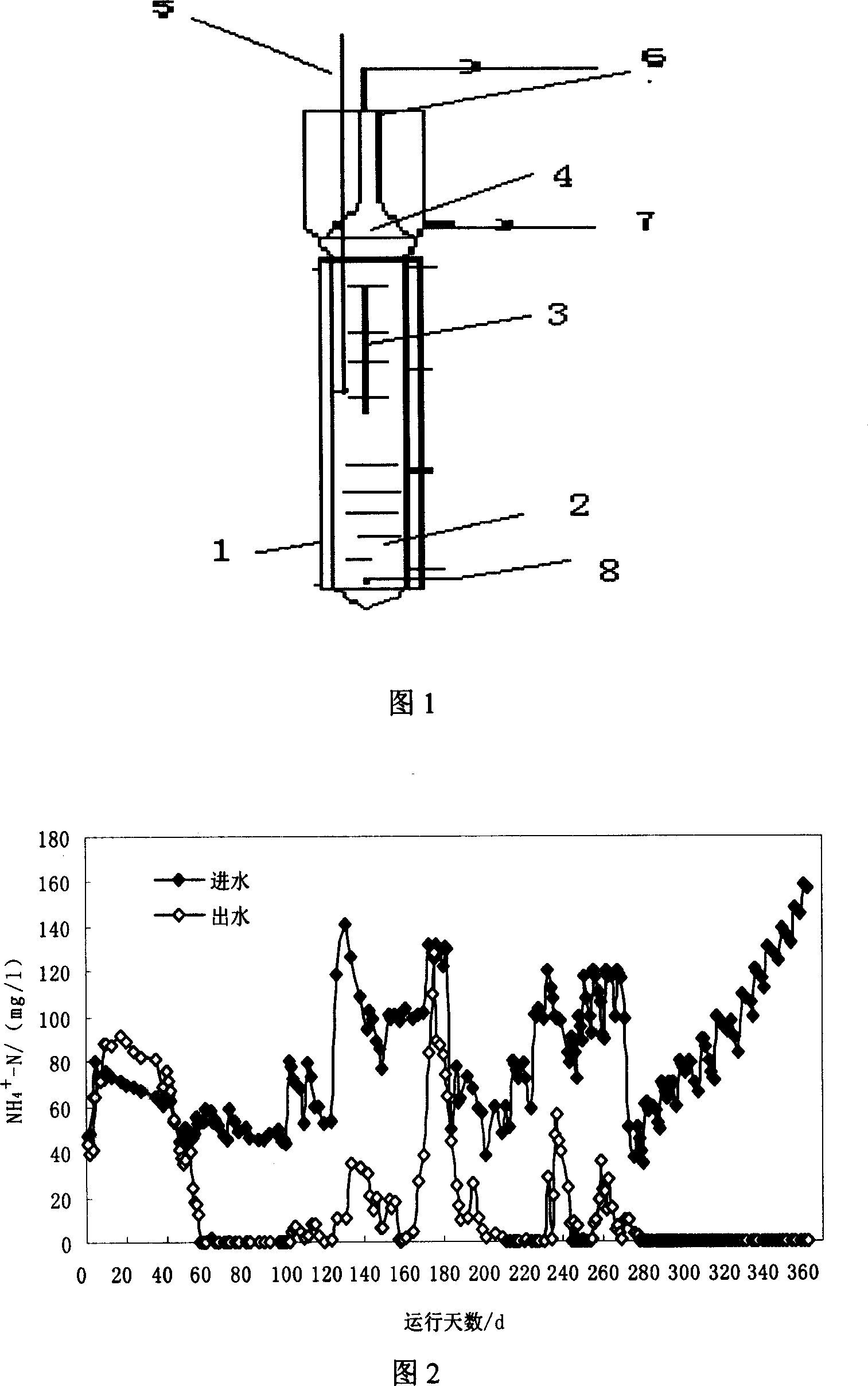 USAB -biological membrane anaerobic ammoxidation strain denitrogenation method and its apparatus