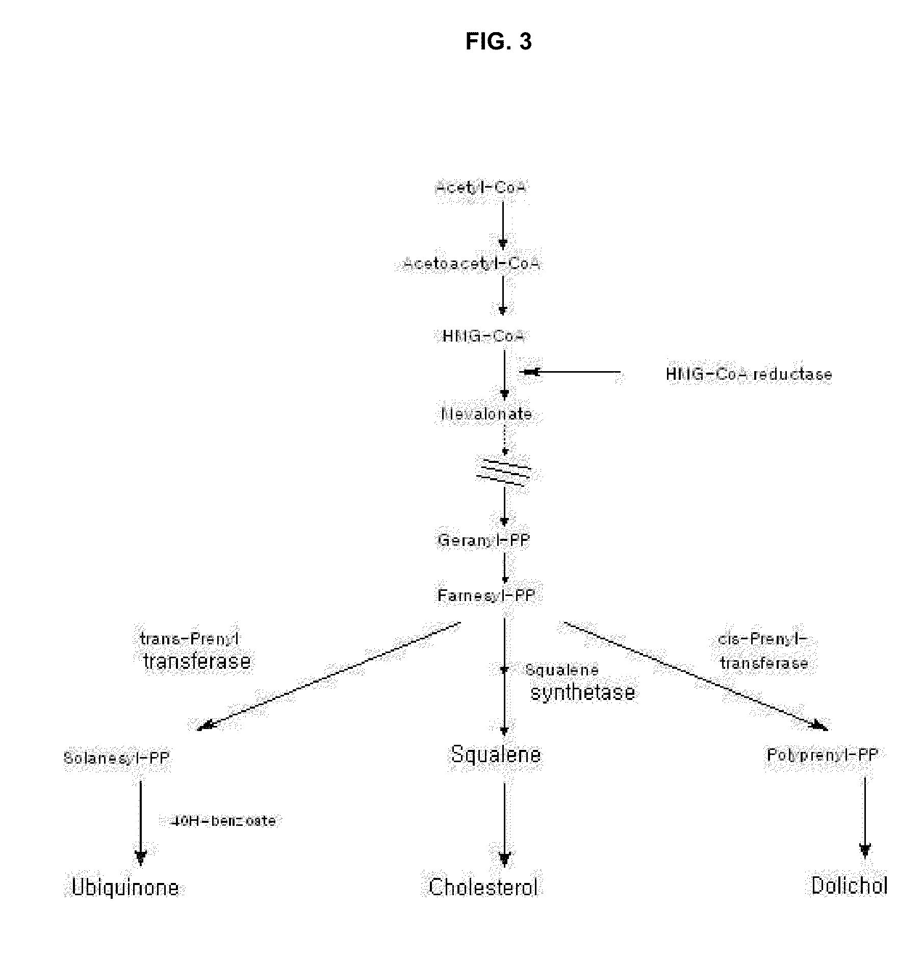 Pharmacological composition whereby statin and coq10 compounds are enhanced