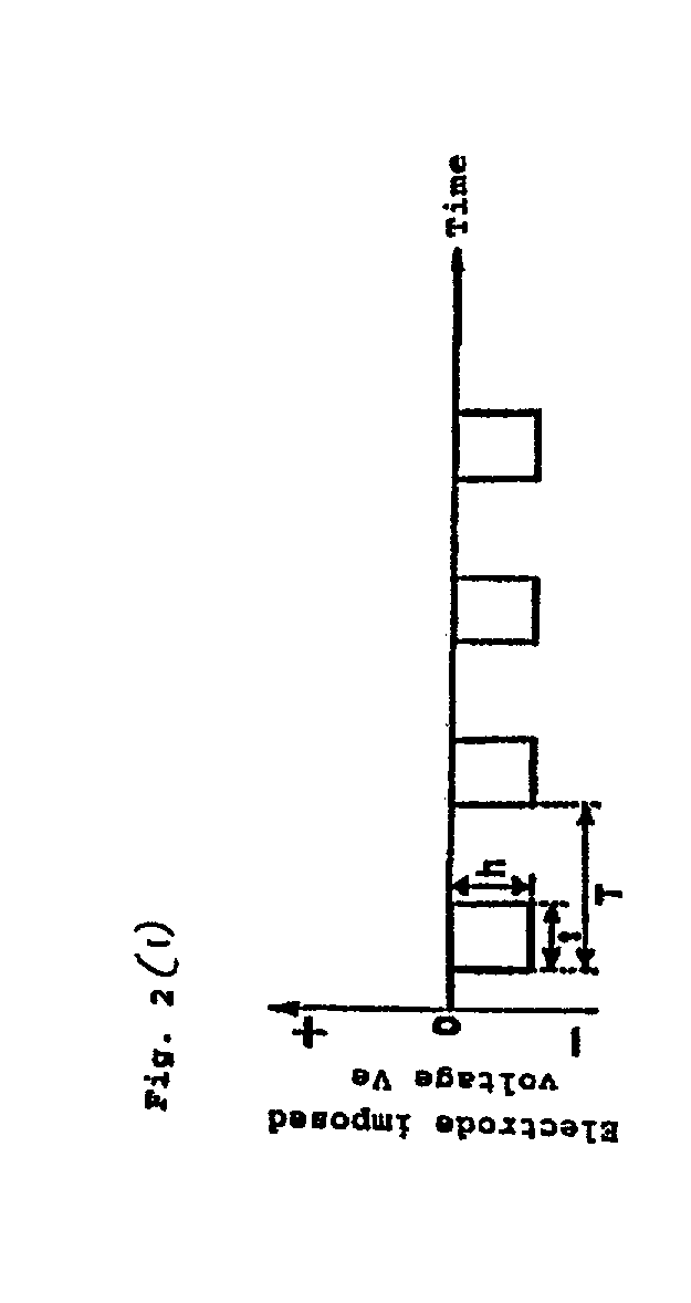 Thin film fabrication method and thin film fabrication apparatus