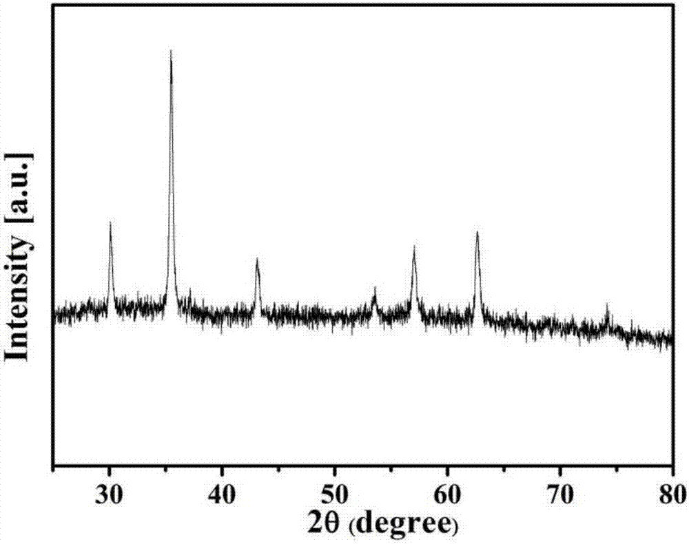 Magnetic molecular imprinting polymer for separating and enriching perfluorooctane sulfonate and preparation method thereof