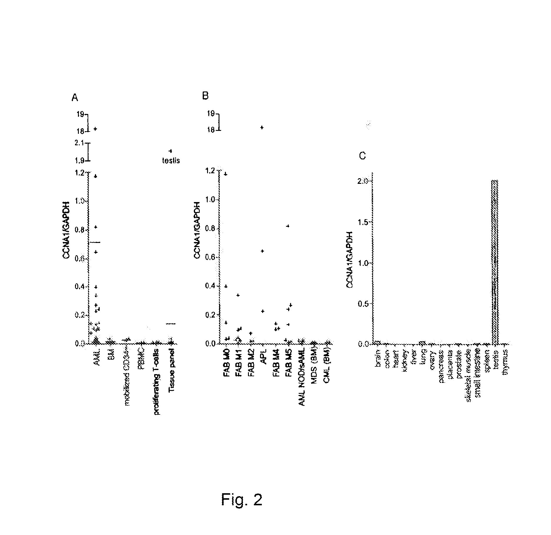 Cyclin a1-targeted t-cell immunotherapy for cancer