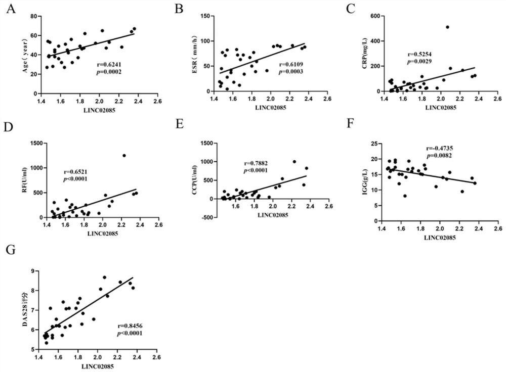 Application of LINC02085 gene and detection method of LINC02085 gene