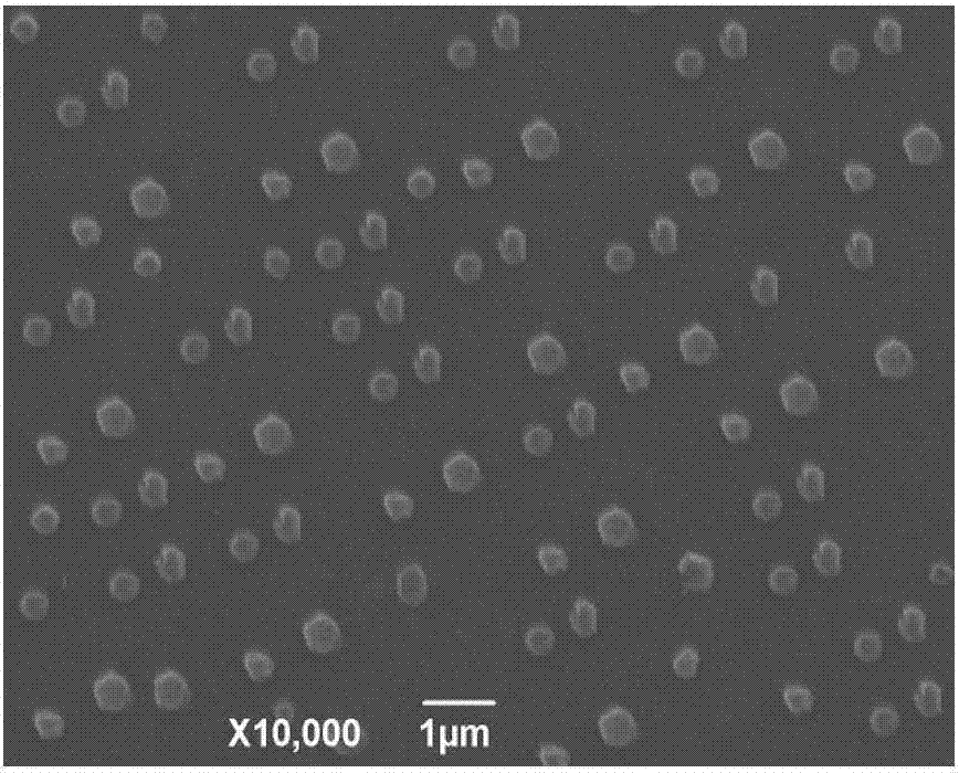 Veterinary enrofloxacin solid lipid nanosuspension and preparation method thereof