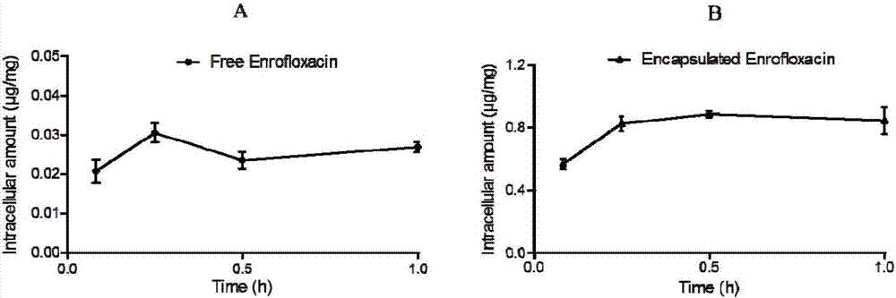 Veterinary enrofloxacin solid lipid nanosuspension and preparation method thereof