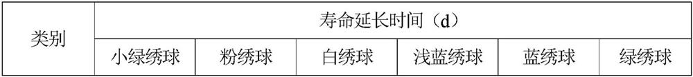 Chitosan preservative and use method thereof