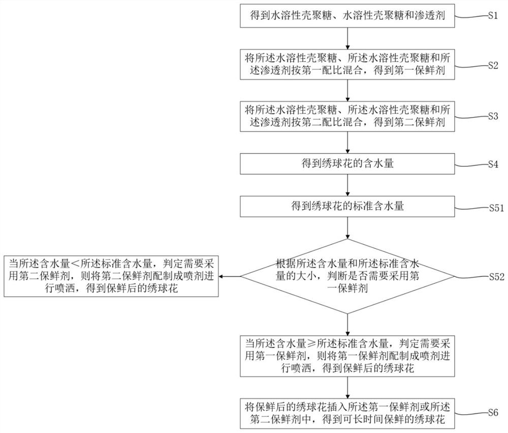 Chitosan preservative and use method thereof