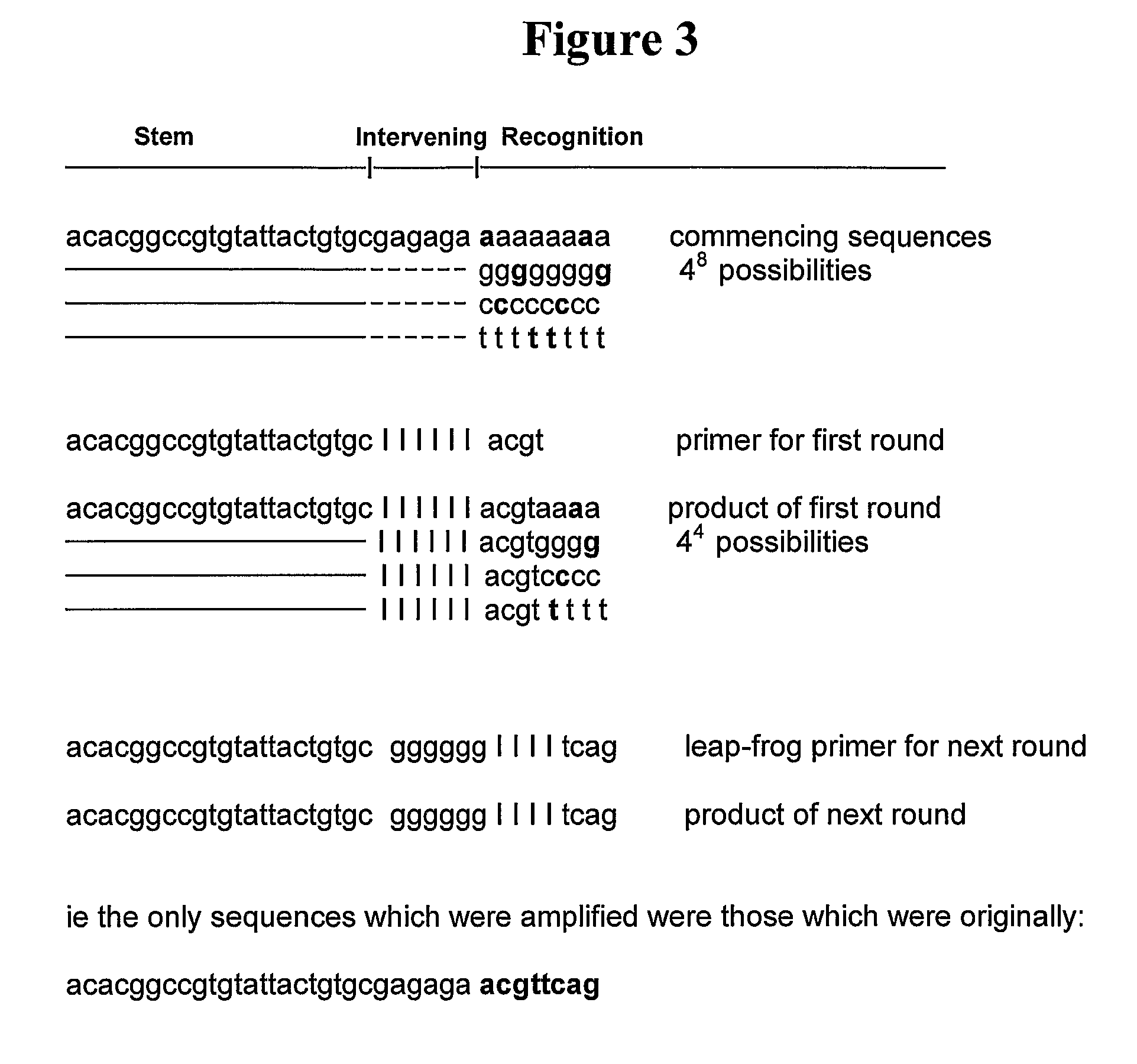 Detecting targets using nucleic acids having both a variable region and a conserved region