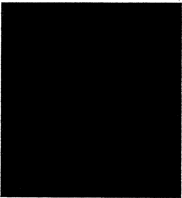 Process for magnesium alloy surface treatment